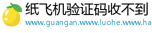 纸飞机验证码收不到手机访问